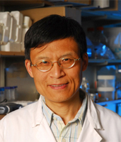 Picture of  Wei Xiao